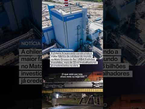 A chilena Arauco está construindo a maior fábrica de celulose do mundo no Mato Grosso do Sul.