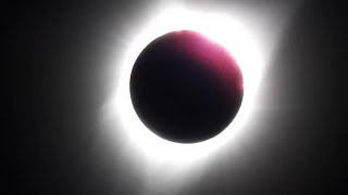 Historical Eclipses with Astrophysicist Dr. Paul Sutter