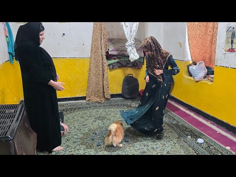 "Sakineh's beloved companion dog unexpectedly returns from Armenia"