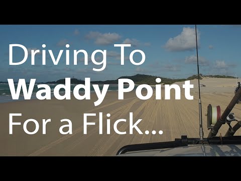 Driving to Waddy Point From Orchid Beach on Fraser Island - What to Expect? | All About Fraser