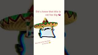 Download lagu Yea they need big brain 🌞🌞 mp3 Download lagu Yea they need big brain 🌞🌞 mp3