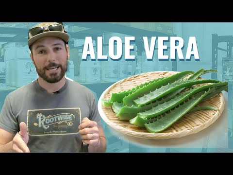 BuildASoil Product Highlight: ALOE VERA FOR YOUR GARDEN