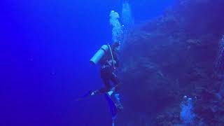 Cozumel 2023, Day 4, Dive 1, Part 2