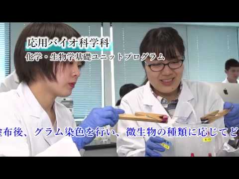 情報工学科 【#神奈川工科大学】＜授業紹介＞応用バイオ科学科「化学・生物学基礎ユニットプログラムと特色あるAL教育」