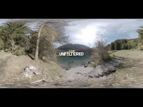 Video facade placeholder