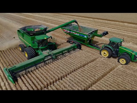 Wheat Harvest 2024 - Full Speed Ahead!