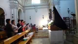 preview picture of video 'Semana Santa Castrillo de la Vega. 2014. Viernes Santo. Canto Las Siete Palabras'