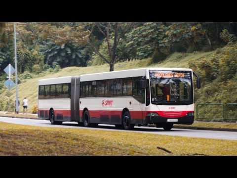 Best of SG Buses - ZF Ecomat