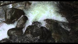 Pacific Gold - I Will Know Him (Official Audio)