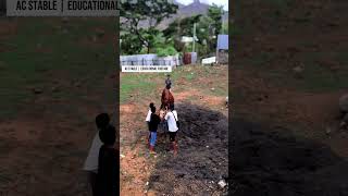 Download lagu Eps 76 | Natural Horse Breeding Process | AC Stable Documentary mp3