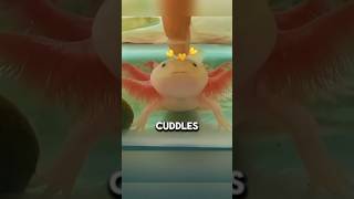 Download lagu This axolotl's rescue story will melt your heart 🥹❤️. #shorts mp3 Download lagu This axolotl's rescue story will melt your heart 🥹❤️. #shorts mp3