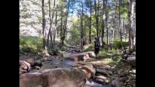 preview picture of video 'Horton Creek Trail #285 Hike Oct 19, 2013 - Part 1 of 4'