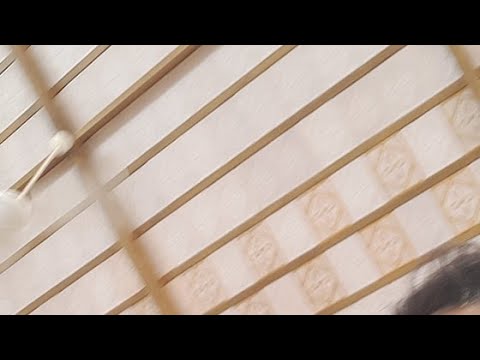 HH Asit Krishna Swami Maharaj at AKSHAR YOGA Gita Course