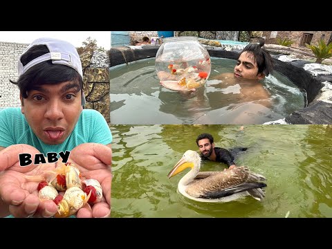 Hmari Fish Ny Baby Da Diya 😍 Subhan Ko Challenge Dea