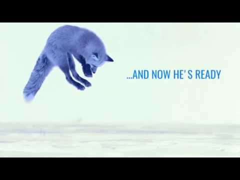 Blue Fox is making his debut! Pro Wrestling Live Lugano 15.10.2016