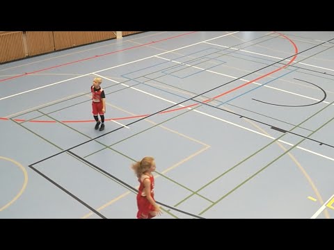 5.1.2019 Pyrintö- Honsu