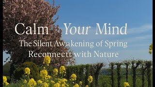 Calm Your Mind