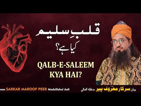 QALB-E-SALEEM KYA HAI ?