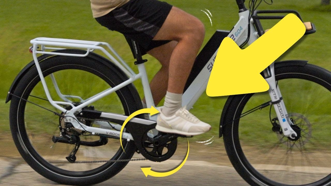 Independent Reviewer review of V Rook