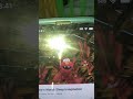 Elmo S World Wake Up With Elmo And Elmo S World Head To Toe With Elmo 2002 2003
