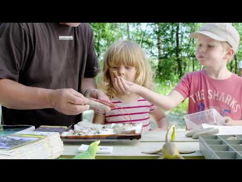 Mighty Sea Dragons and exciting fossil hunting in Bromölla