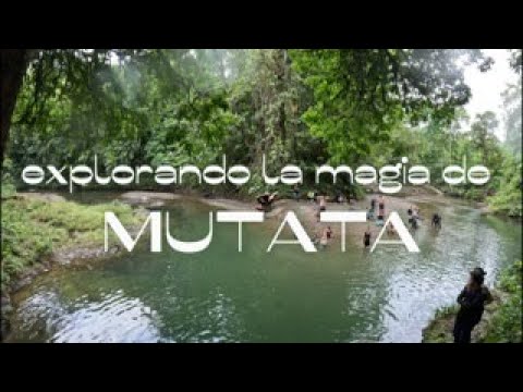 Explorando la magia de Mutata Antioquia: Un paraiso magico