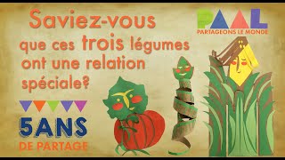 Sur la piste des trois soeurs...