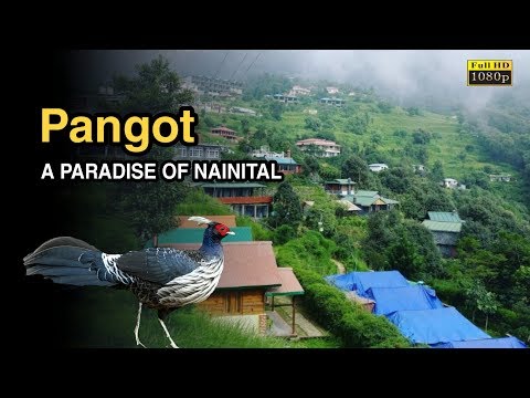 download lagu mp3 mp4 Pangot Camp, download mp3 Pangot Camp free download, download mp3 Pangot Camp