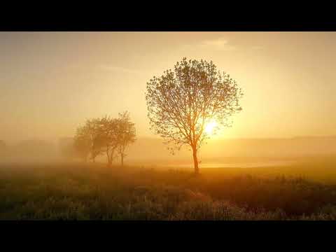 Sonnenaufgang am Niederrhein