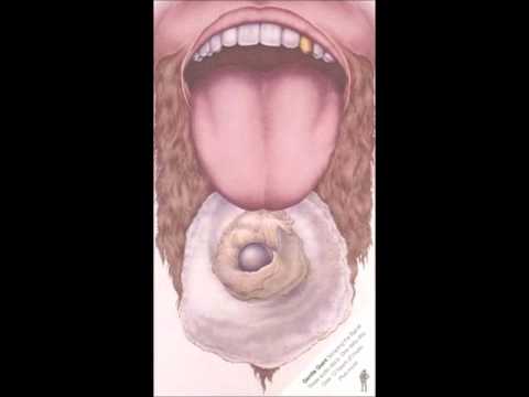 Kerry Minear - I'm Home Again