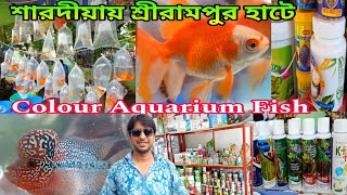 শুভ শারদীয়ায় শ্রীরামপুর হাটে রঙিন মাছ | Aquarium Fish Price |  Aquarium Fish Accessories |Aquarium