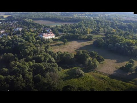 Highlights aus „Burgen und Schlösser - Das Marchfeld“