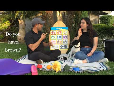 ASL with Saporito! Colors