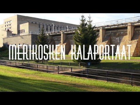 Oulujoki Merikosken Kalaportaat - Lohiportaat - Kalatie ( Fish Stairs - Lohenkalastus - Oulujoki )