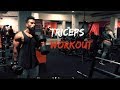 I TRAINED TRICEPS |TRICEPS QUIKE WORKOUT|