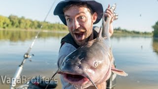 Monster Catfish| Winnipeg, Manitoba Canada