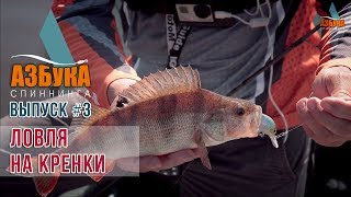 Спиннинги для ловли на кренки