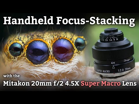 Video thumbnail for Video Review 3