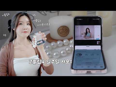 �Ｚ���� ������Z �ø�4 256GB, �ڱ���