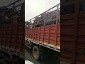 Elephant In Truck Hathi In Loading Auto