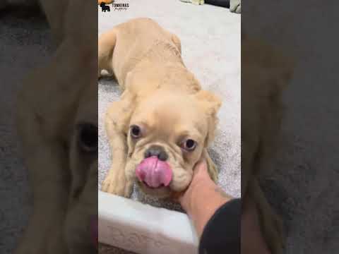 Video 2