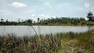 Download lagu aku cah bakoh(bade di pontang panting ke)#yeni inka mp3