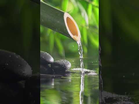 BEST RELAXING BUDDHA MUSIC FOR BUDDHIST 🙏