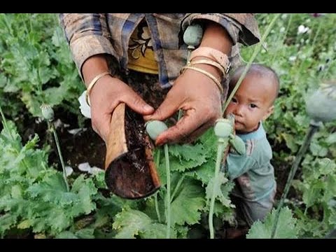 Migrantland:  A base for the future