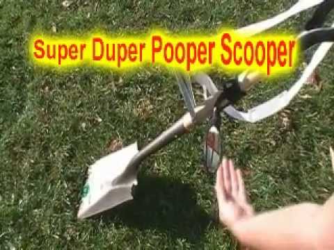 download lagu mp3 mp4 The Allen Scooper, download lagu The Allen Scooper gratis, unduh video klip The Allen Scooper