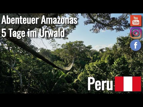 Abenteuer im Amazonas des Tambopata Nationalparks - PERU 🇵🇪