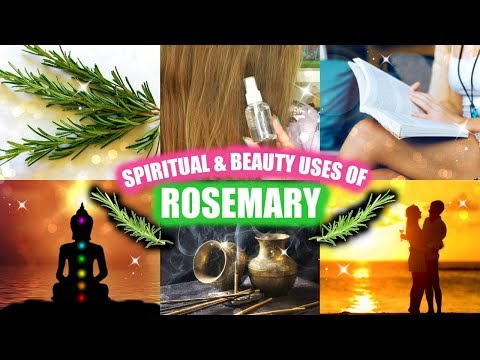 download lagu mp3 mp4 Rosemary Oil Spiritual Uses, download lagu Rosemary Oil Spiritual Uses gratis, unduh video klip Rosemary Oil Spiritual Uses