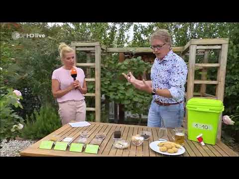"ZDF Fernsehgarten": natürlichen Dünger selbst herstellen 🌱