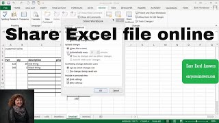 Share Excel File online