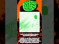 xzxzxhxoxrxax - A cluster of... [Debut Single] (Cellnoise)